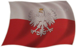 Naklejka tuningowa - Flaga Polski z orłem duża