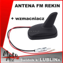Antena samochodowa REKIN 12V AM-FM wzmacniacz
