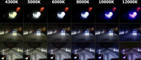 Żarniki - Żarówka palnik D1S 5000K Żarniki - Żarówka palnik D1S 5000K