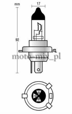 Żarówka H4 12v 60/55w Żarówka H4 12v 60/55w
