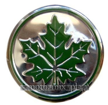 Naklejka alu Zielony listek - początkujący kierowca